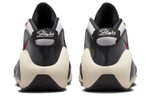 Кроссовки Nike Zoom Flight 95 Hoops