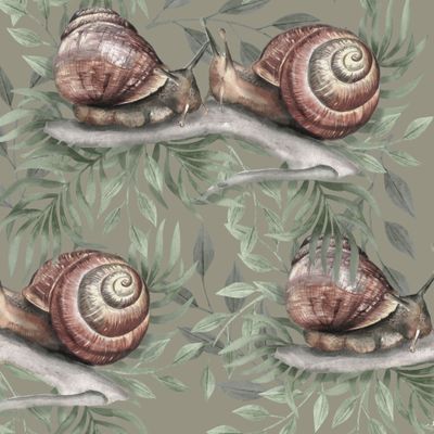 Виноградные улитки