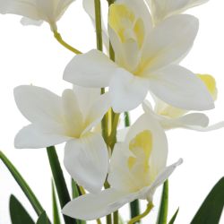 GAEM Цветочная композиция, L W H50 см