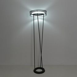 Торшер Lumion LEDIO 8370/30FL