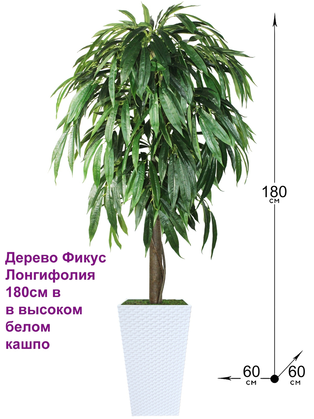 Искусственное дерево Фикус Лонгифолия 180см в высоком белом кашпо ротанг