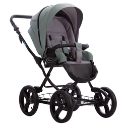 Детская коляска AroTeam Cocoline Prima 3 в 1 09 шалфей