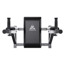 Брусья настенные DFC Homegym G294