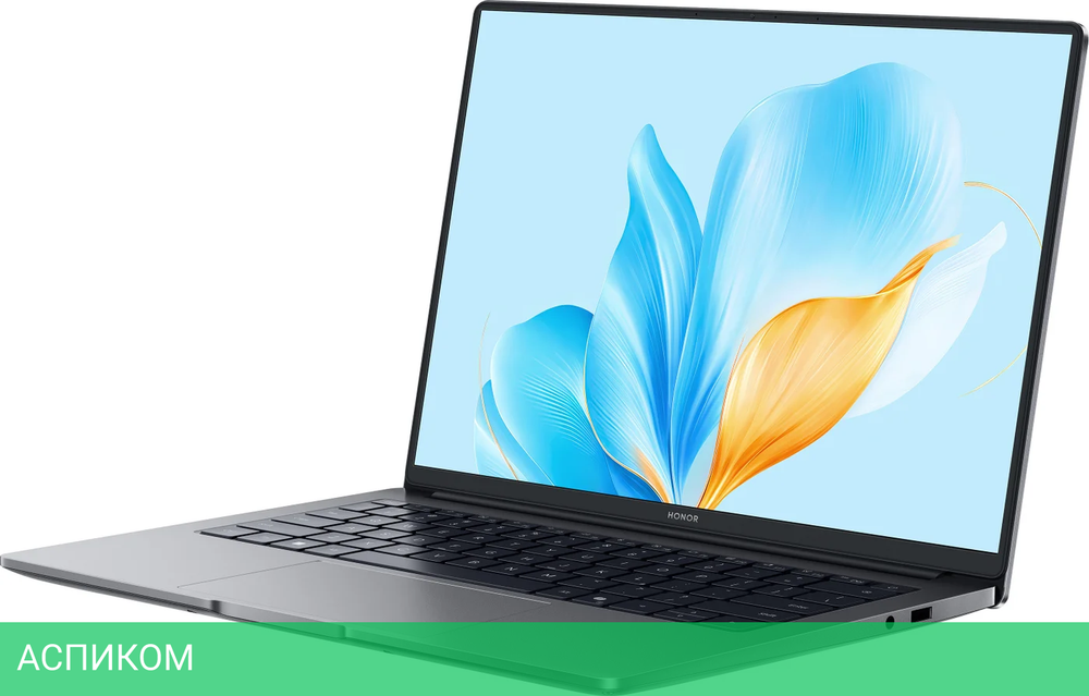 Ноутбук Honor MagicBook X14 Plus 2025 FRB-X Space Gray (5301ALWA)