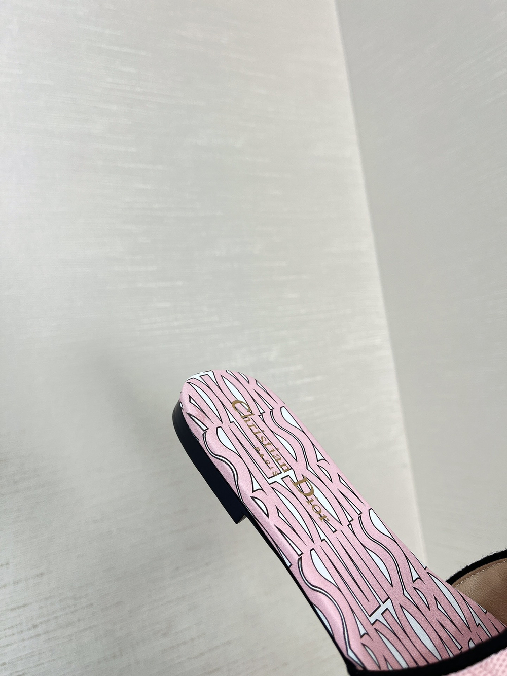 Christian Dior Dway Slide (11 colors)