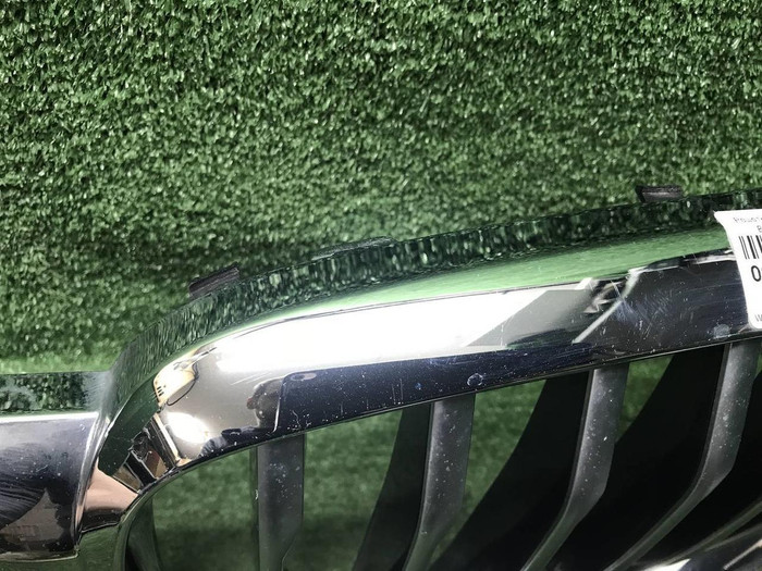 Решетка радиатора BMW X5 G05 (2018-2023)