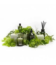 Аромадиффузор Томатный лист, Christian Tortu