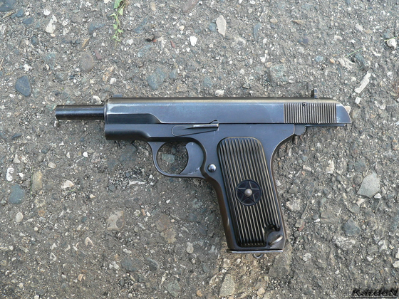 Плакат "Пистолет Токарева ТТ" (1000х700)