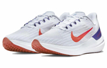 Кроссовки Nike Zoom Winflo 9