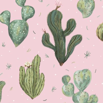 Кактусы (розовый)