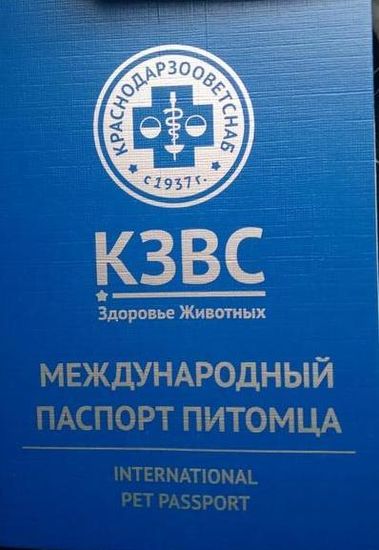 Ветеринарный паспорт А6 золото, КЗВС