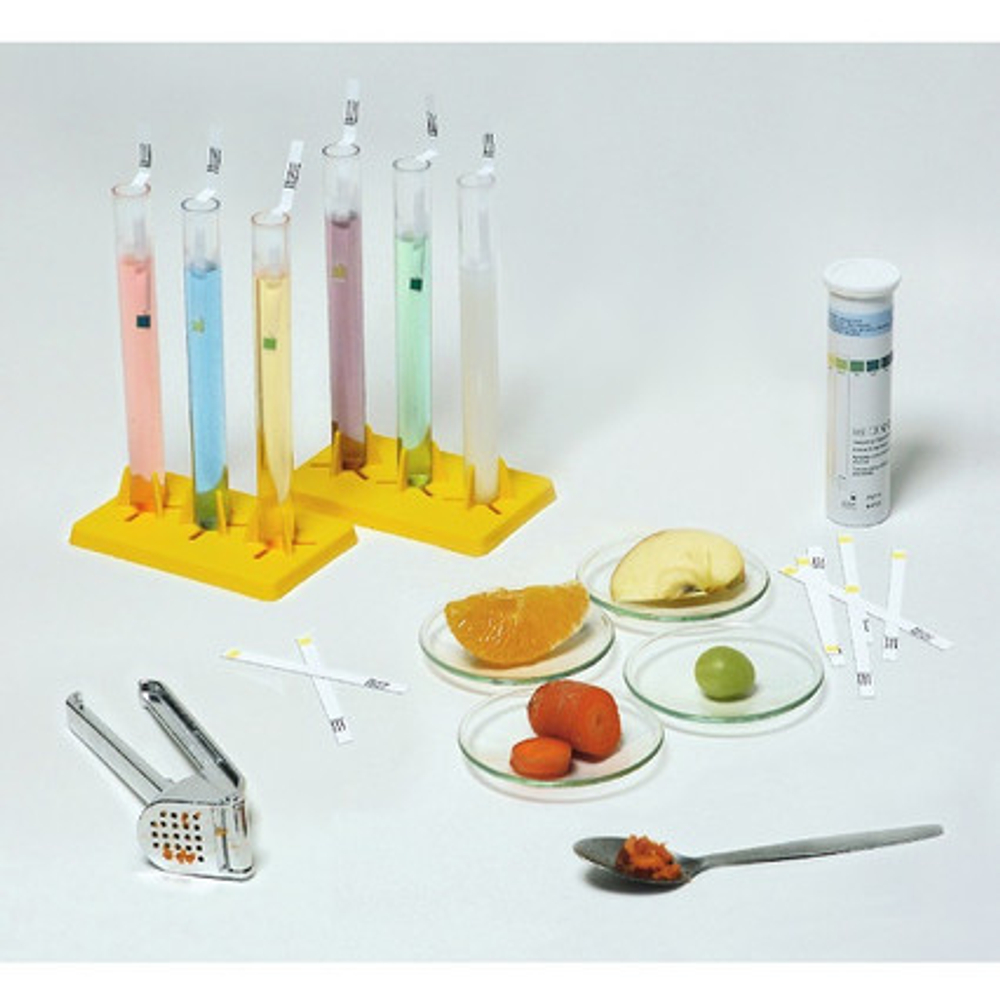 "Мое тело, мое здоровье" Комплект лабораторного оборудования