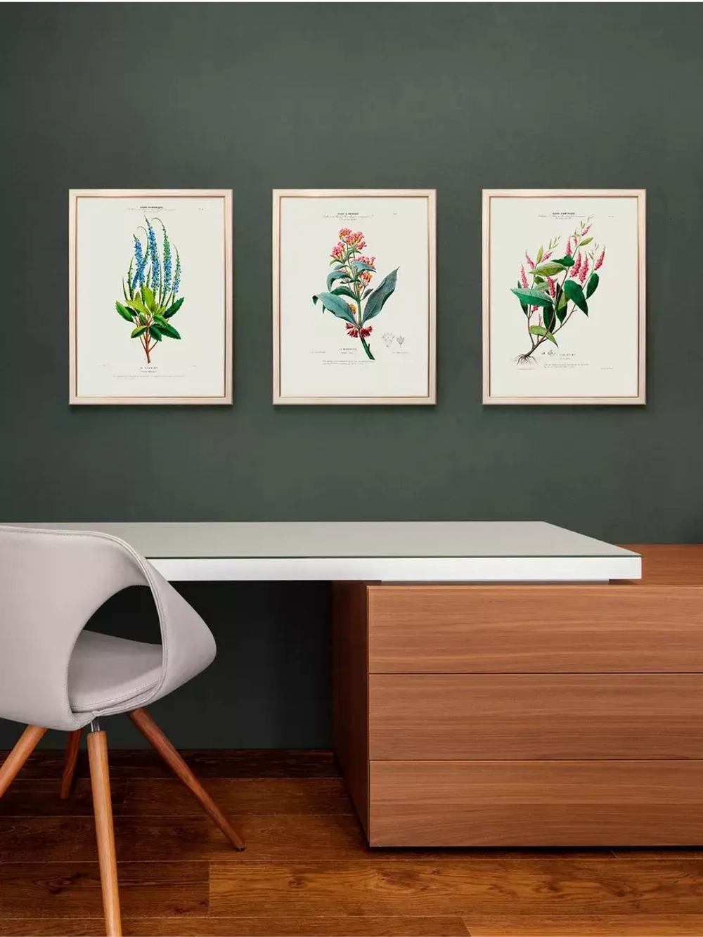 Постер настенный в багетной раме "Ботаника" 42*32 см