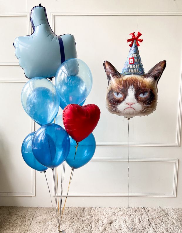 Воздушные шары №4801