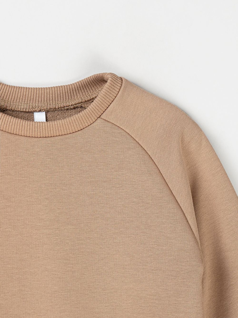 Свитшот "Песок" с вышивкой утепленный без начеса