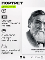 Портрет для школы в кабинет биологии "Илья Ильич Мечников", стенд школьный для класса, деятели науки для оформления классного уголка, 40х30 см, Silver Plane x Айдентика Технолоджи