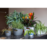 Контейнер для хранения bottichelli, 1,5 л, белый