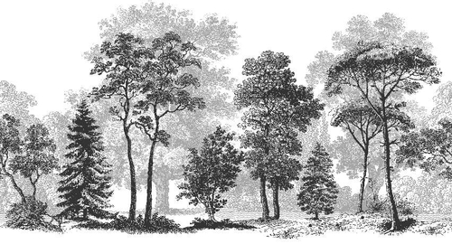 Дизайнерские №625 Фотообои и Фрески