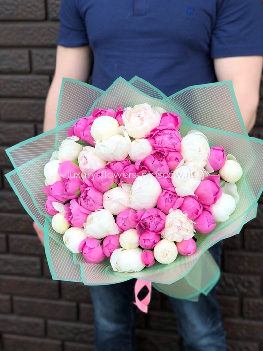 51 фиолетовый и белый пион