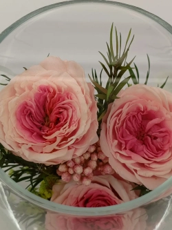 натуральные кустовые пионы в стекле, вакуум*