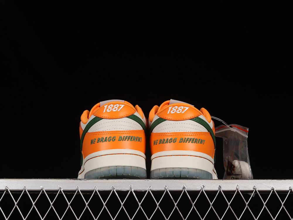 Nike Dunk Low Florida A&M University