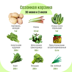 Сезонная корзина