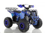 Квадроцикл Wels Thunder EVO 125 синий
