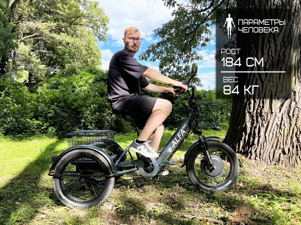 Электровелосипед GREEN CITY e-ALFA Trike (черный)