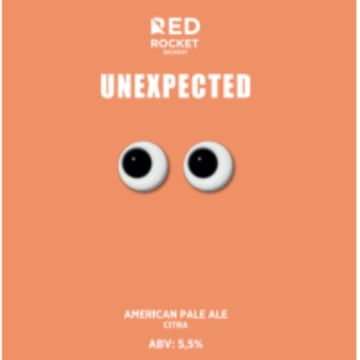 Unexpected // Red Rocket (Екатеринбург)