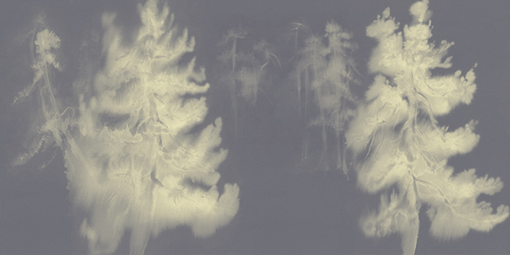 Фреска Applico, коллекция Natura