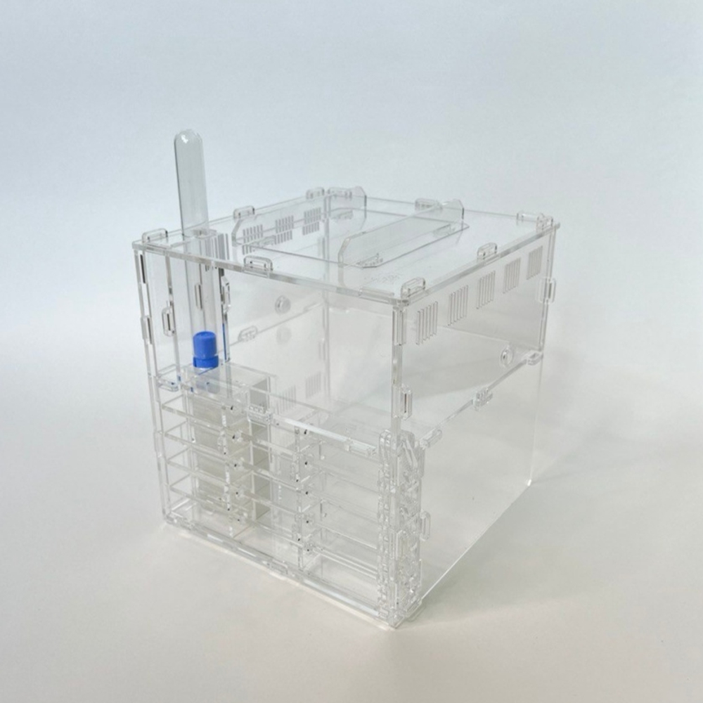 формикарий Crystal L pro + колония Messor Barbarus