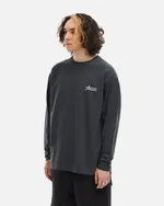 Лонгслив Anteater Phat Long 110 темно-серый