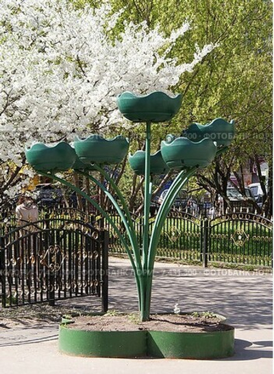 Цветник Фиалка