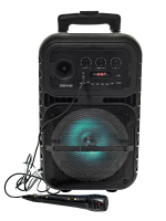 Портативная колонка SHINEDEE SPEAKER  Bluetooth, с микрофоном для караоке, FM, MP3 и подсветкой