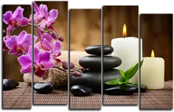 Модульная картина "Красавица орхидея"