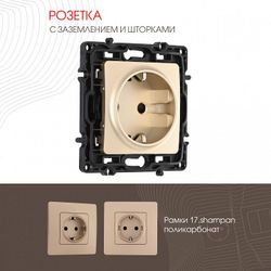 Розетка с заземлением и со шторкой, без рамки Arte Milano am-217 217.40-1.shampan