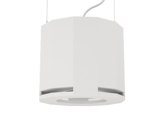 CVGAUDIO SUBone model D-6W подвесной сабвуфер, мощность 80W/160W.