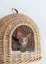 Домик "Пони-НЛОни"