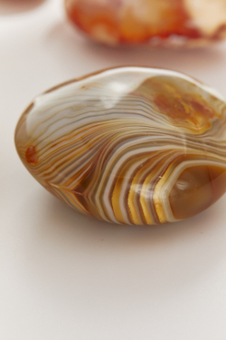 Сердолик палмстоун