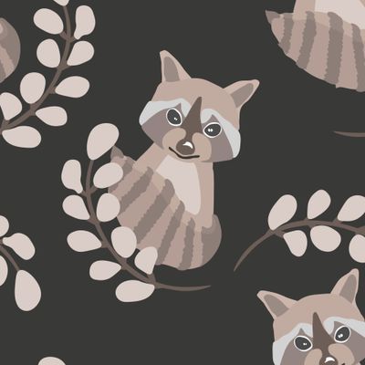Коричневые еноты на тёмном фоне