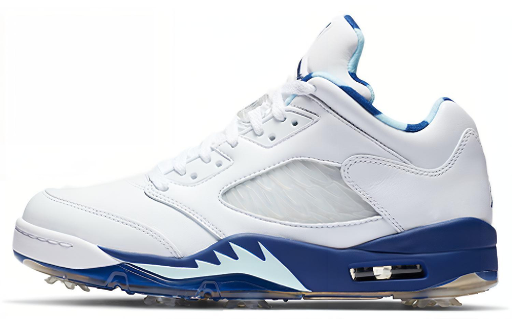 Кроссовки Jordan Air Jordan 5 Low Golf "Grape Ice"