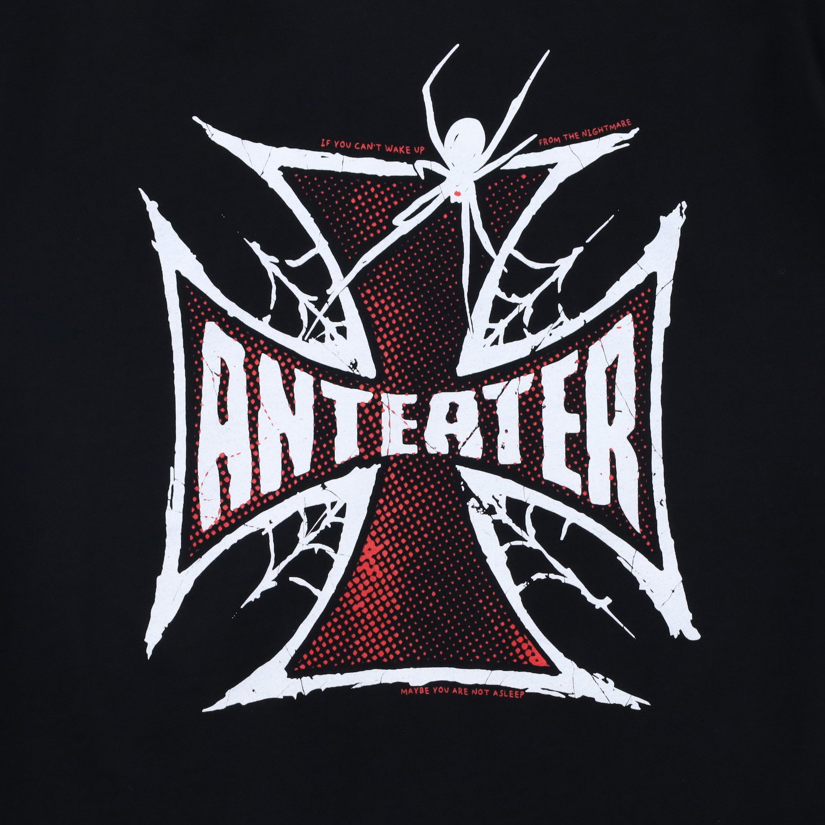 Футболка Anteater Tee 391 Spider (black) артикул: - купить в магазине Дайс
