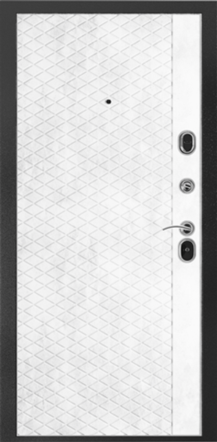 Дверь входная Торино