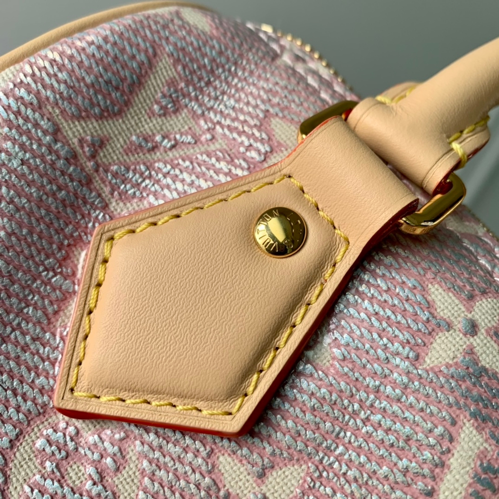 Louis Vuitton Speedy 20