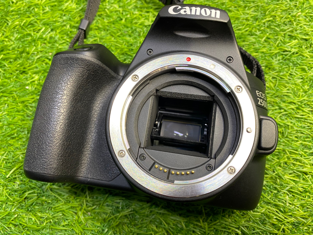 Canon 250D + 18-55mm (1000 кадров) Покупка/Продажа