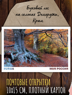 Моя Россия. Осень (выпуск №5, 2025)
