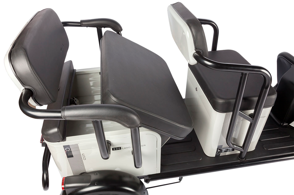 Электротрицикл Wanshida UM+ (1000Вт, 60B)