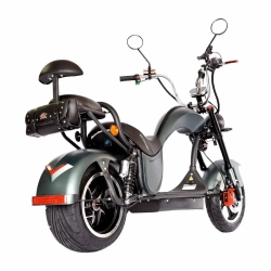 Электроскутер Skyboard Chooper -3000 (Enisei)