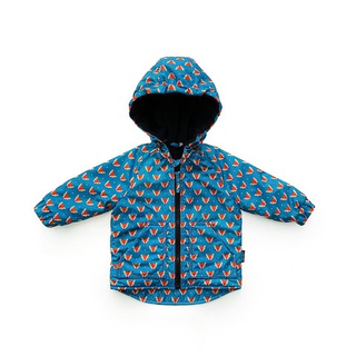 Куртка (лисы)