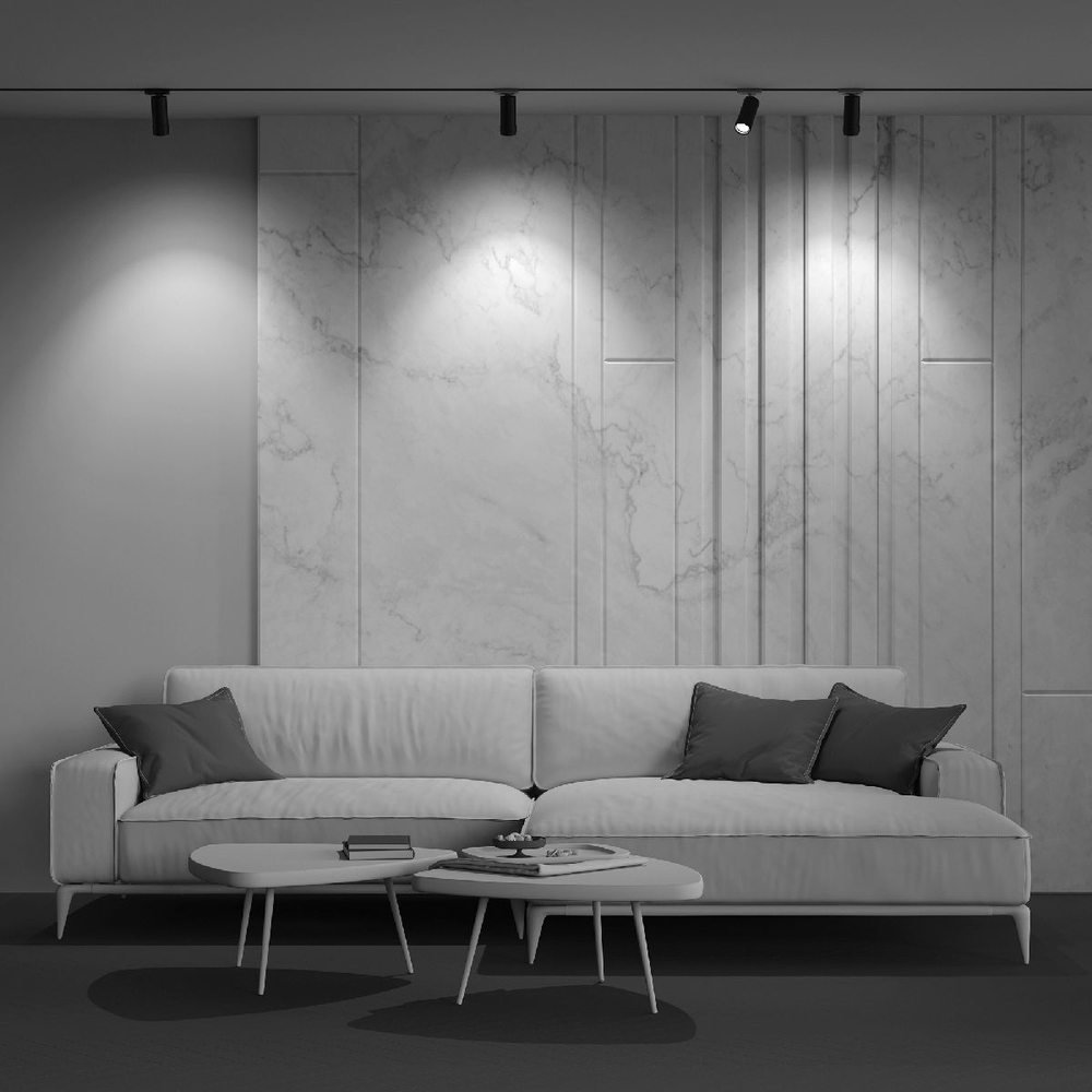 Трековый светильник Maytoni Technical TR021-1-12B3K-Z-B